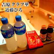 ヒメ日記 2024/11/16 09:40 投稿 近藤ひろ クラブ華