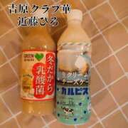 ヒメ日記 2024/12/08 07:06 投稿 近藤ひろ クラブ華