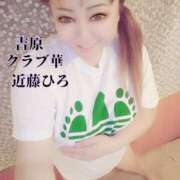 ヒメ日記 2024/12/08 10:52 投稿 近藤ひろ クラブ華