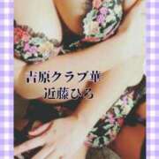 ヒメ日記 2024/12/11 12:09 投稿 近藤ひろ クラブ華