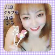 ヒメ日記 2024/12/11 23:30 投稿 近藤ひろ クラブ華