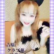 ヒメ日記 2024/12/12 12:52 投稿 近藤ひろ クラブ華