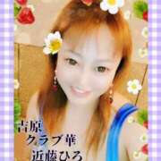 ヒメ日記 2024/12/12 12:16 投稿 近藤ひろ クラブ華