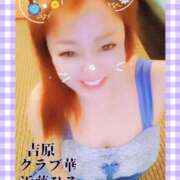 ヒメ日記 2024/12/13 12:50 投稿 近藤ひろ クラブ華