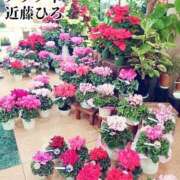 ヒメ日記 2024/12/16 03:22 投稿 近藤ひろ クラブ華