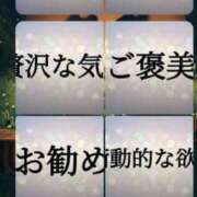 ヒメ日記 2024/12/20 23:14 投稿 近藤ひろ クラブ華