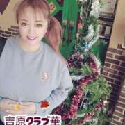 ヒメ日記 2024/12/22 06:23 投稿 近藤ひろ クラブ華