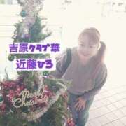 ヒメ日記 2024/12/22 10:06 投稿 近藤ひろ クラブ華