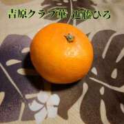 ヒメ日記 2024/12/23 07:41 投稿 近藤ひろ クラブ華