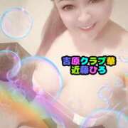 ヒメ日記 2024/12/30 12:54 投稿 近藤ひろ クラブ華