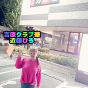 ヒメ日記 2024/12/31 08:08 投稿 近藤ひろ クラブ華