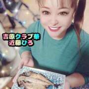 ヒメ日記 2025/01/03 01:57 投稿 近藤ひろ クラブ華