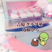 ヒメ日記 2025/01/05 09:07 投稿 近藤ひろ クラブ華