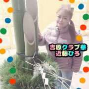 ヒメ日記 2025/01/06 07:12 投稿 近藤ひろ クラブ華