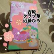 ヒメ日記 2025/02/10 07:40 投稿 近藤ひろ クラブ華