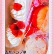 ヒメ日記 2025/02/11 20:19 投稿 近藤ひろ クラブ華