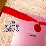 ヒメ日記 2025/02/19 22:49 投稿 近藤ひろ クラブ華