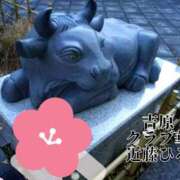 ヒメ日記 2025/02/22 08:26 投稿 近藤ひろ クラブ華