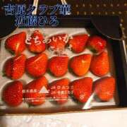 ヒメ日記 2025/02/25 08:53 投稿 近藤ひろ クラブ華