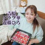 ヒメ日記 2025/02/25 23:31 投稿 近藤ひろ クラブ華