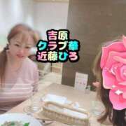 ヒメ日記 2025/03/09 03:22 投稿 近藤ひろ クラブ華