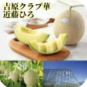 ヒメ日記 2025/03/15 08:14 投稿 近藤ひろ クラブ華