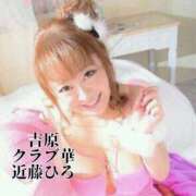 ヒメ日記 2025/03/16 11:47 投稿 近藤ひろ クラブ華