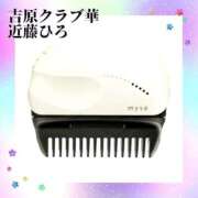 ヒメ日記 2025/03/17 23:51 投稿 近藤ひろ クラブ華