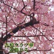 ヒメ日記 2025/03/24 07:02 投稿 近藤ひろ クラブ華