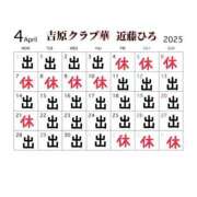 ヒメ日記 2025/03/25 08:16 投稿 近藤ひろ クラブ華