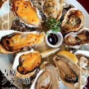 ヒメ日記 2025/03/30 09:44 投稿 近藤ひろ クラブ華