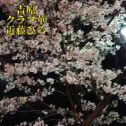 ヒメ日記 2025/04/02 05:53 投稿 近藤ひろ クラブ華