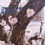 ヒメ日記 2025/04/04 07:04 投稿 近藤ひろ クラブ華