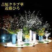 ヒメ日記 2025/04/04 07:21 投稿 近藤ひろ クラブ華