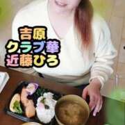 ヒメ日記 2025/04/05 11:22 投稿 近藤ひろ クラブ華