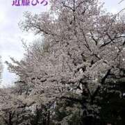 ヒメ日記 2025/04/07 23:03 投稿 近藤ひろ クラブ華