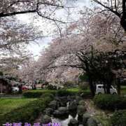 ヒメ日記 2025/04/08 07:22 投稿 近藤ひろ クラブ華