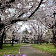 ヒメ日記 2025/04/08 07:45 投稿 近藤ひろ クラブ華