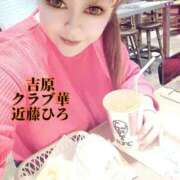 ヒメ日記 2025/04/08 10:15 投稿 近藤ひろ クラブ華