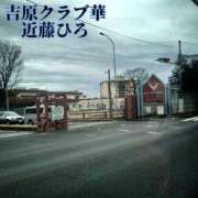 ヒメ日記 2025/04/10 11:57 投稿 近藤ひろ クラブ華