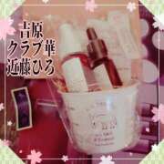 ヒメ日記 2025/04/12 05:53 投稿 近藤ひろ クラブ華