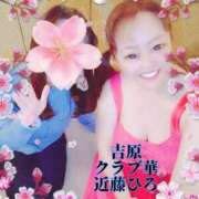 ヒメ日記 2025/04/12 07:01 投稿 近藤ひろ クラブ華