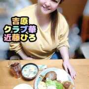 ヒメ日記 2025/04/14 09:55 投稿 近藤ひろ クラブ華