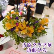 ヒメ日記 2025/04/14 21:03 投稿 近藤ひろ クラブ華