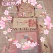 ヒメ日記 2025/04/17 06:24 投稿 近藤ひろ クラブ華