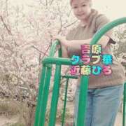 ヒメ日記 2025/04/21 14:15 投稿 近藤ひろ クラブ華