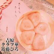 ヒメ日記 2025/04/22 06:52 投稿 近藤ひろ クラブ華