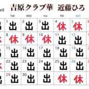 ヒメ日記 2025/04/22 23:11 投稿 近藤ひろ クラブ華