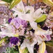 ヒメ日記 2025/04/23 23:17 投稿 近藤ひろ クラブ華