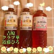 ヒメ日記 2025/04/25 13:29 投稿 近藤ひろ クラブ華
